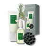 Aromatica Rosemary Scalp Treatment Kit