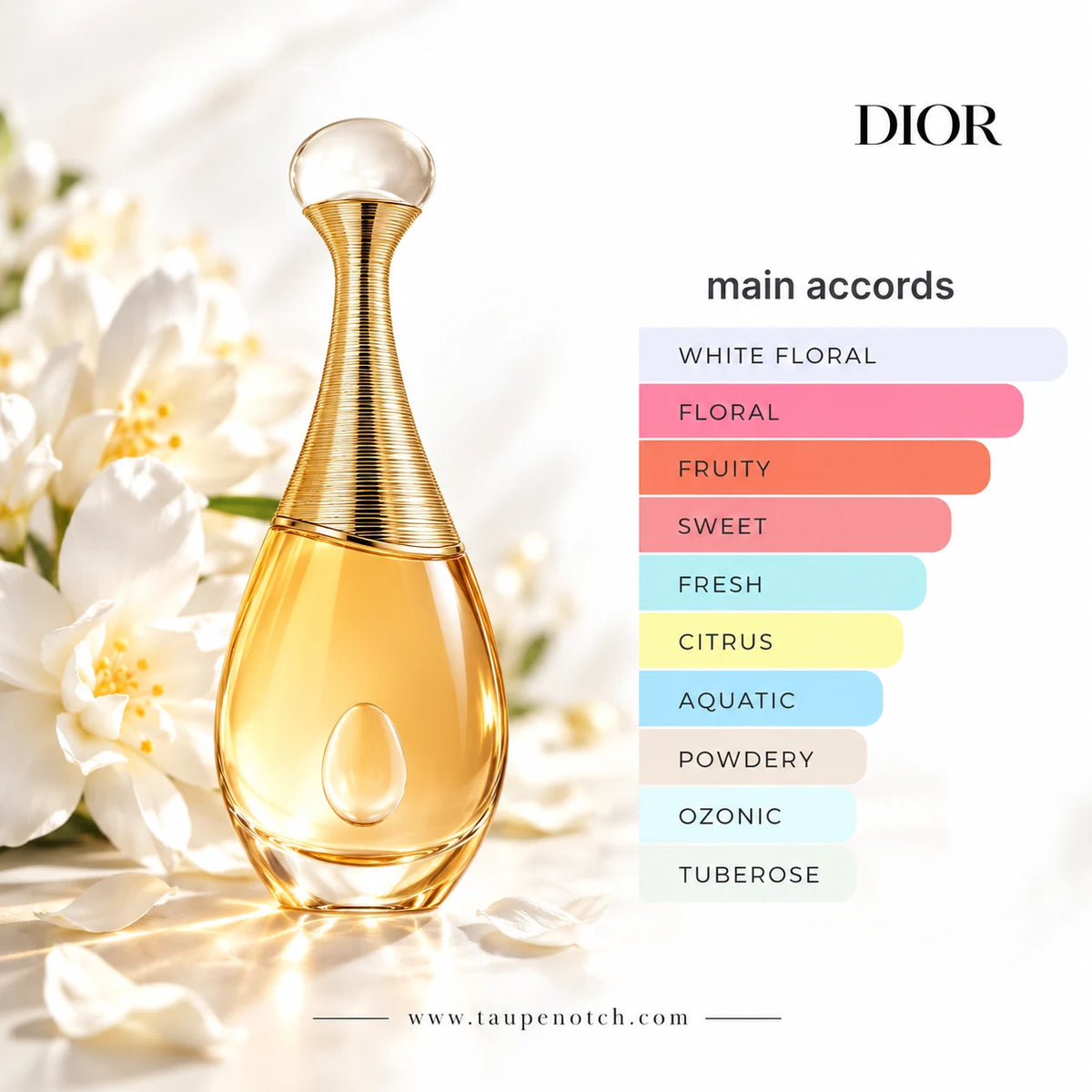 Dior perfume bottle with a gold cap and amber liquid, set against white flowers with a color chart listing main accords on the right.