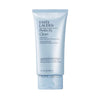 Estée Lauder Perfectly Clean Multi-Action Foaming Face Wash Cleanser/Purifying Face Mask 150 ml
