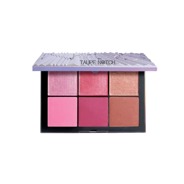 Blush palette with six pressed shades in pink, rose, plum, and taupe