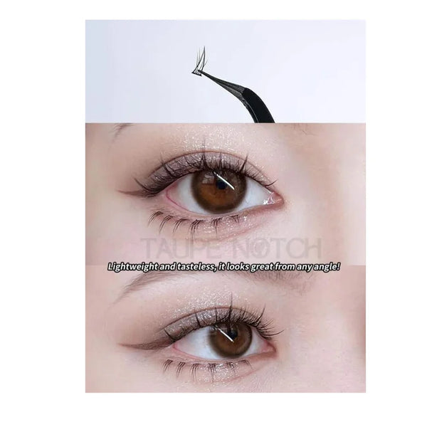 Eyelash extensions on an eye, long curled natural lashes