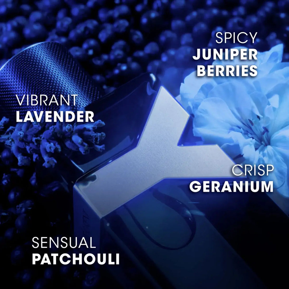 YSL Y Eau de Parfum Intense with text describing scents like spicy juniper berries, vibrant lavender, crisp geranium, and sensual patchouli on a blue floral background.