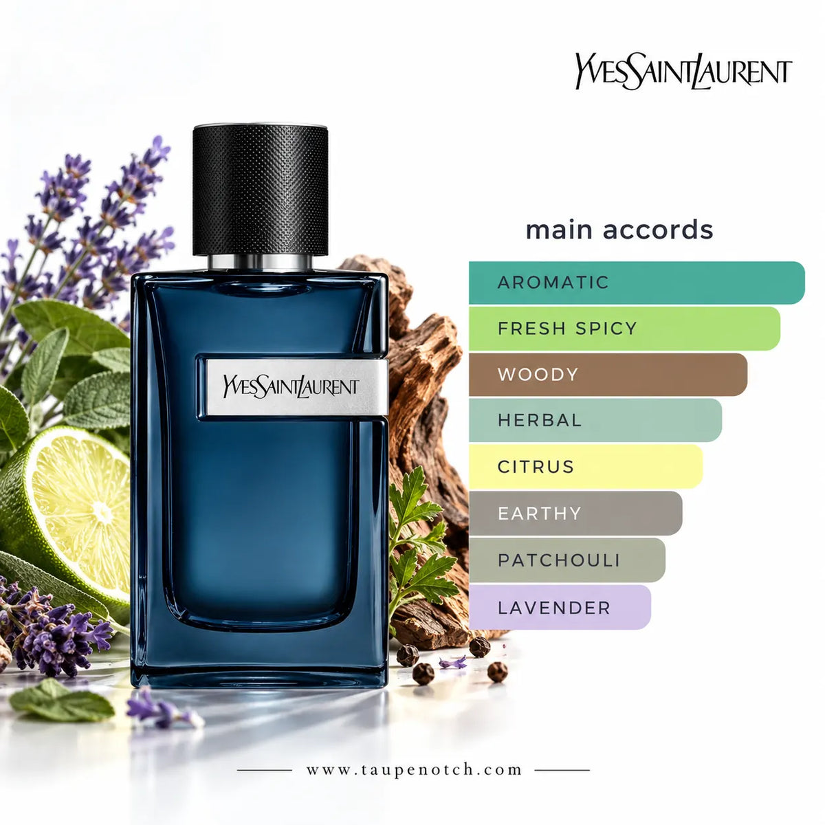 Yves Saint Laurent Eau de Toilette bottle in deep blue glass with a black cap, styled with lavender, mint, and a lime slice on a white background, next to a color chart labeled 'main accords'.