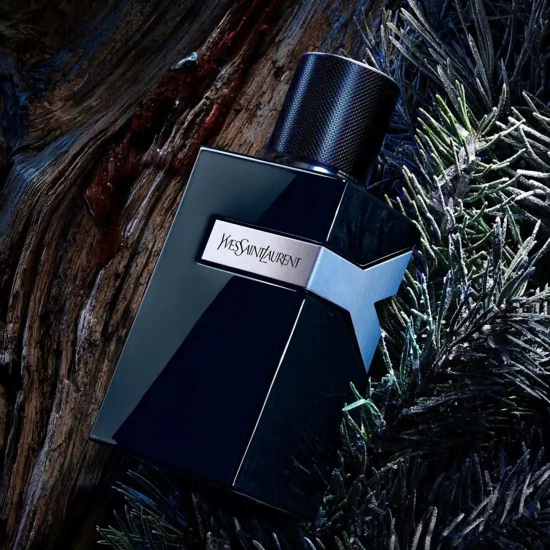 Yves Saint Laurent perfume bottle on a dark background with plants