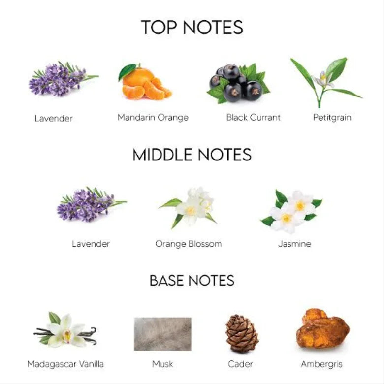 Fragrance notes chart: lavender, mandarin orange, black currant, petitgrain