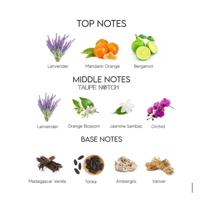 Fragrance notes chart showing top notes: lavender, mandarin orange, bergamot
